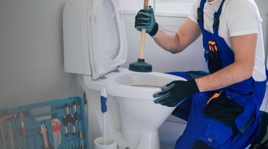 Professional sewer line repair services in Saint Donatus, IA